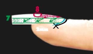 Зона максимальной толщины материала нарощенного ногтя