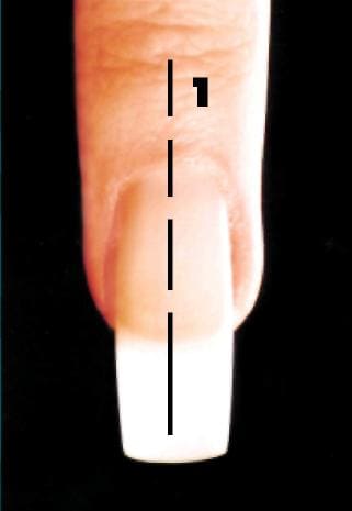форма свободного края ногтя