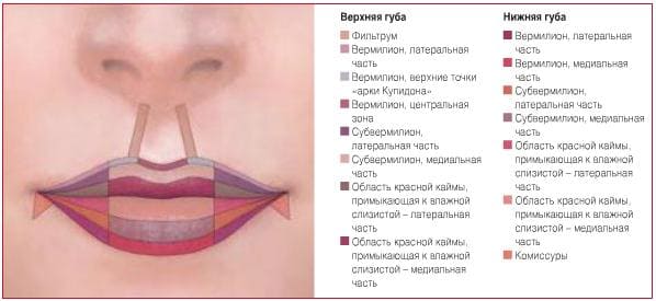 Проведении эстетической коррекции губ