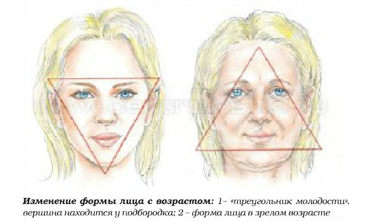 О возрастных изменениях лица и шеи